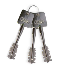 Nycklar till omställningsbart FAS-lås (3 st)